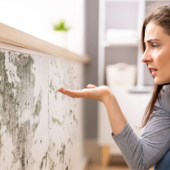 20251116 Murs humidés recadrés