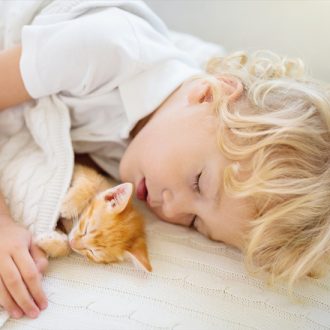 atmosphere intérieure 550x550 72