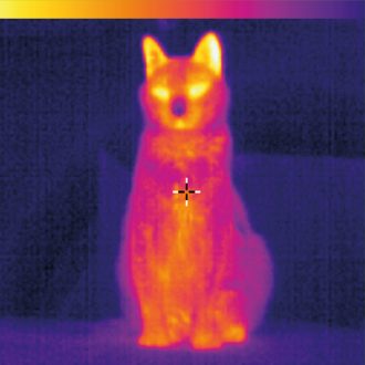 rayonnement dangereux 550x550